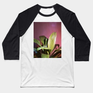 Green Leaves with Water Showers and Droplets Photography Baseball T-Shirt